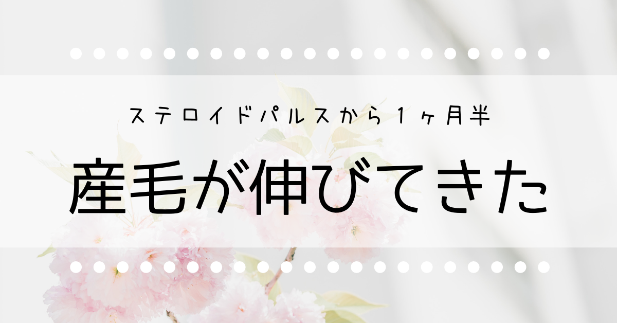 パルス ステロイド ステロイドの使用方法・副作用を正しく理解する｜とうきょうスカイツリー駅前内科